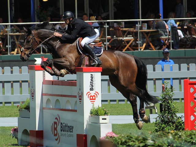 一项全新设 一项全新设