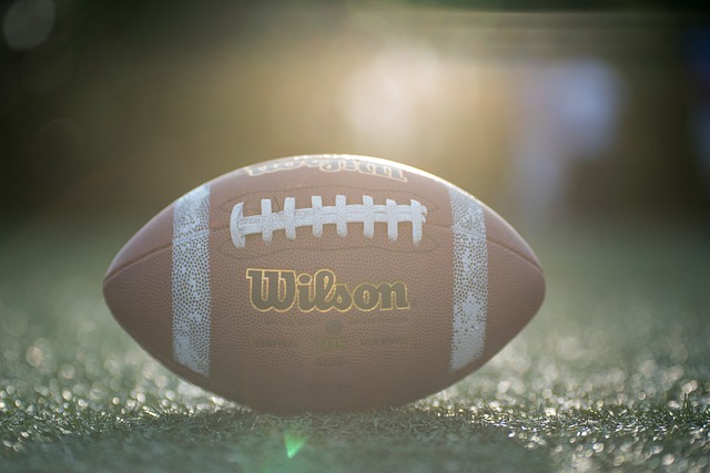 他的速度 他的速度