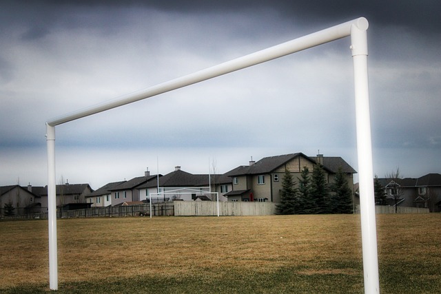 罗本进球背 罗本进球背