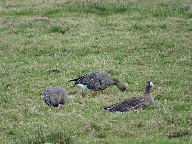 在对方防线 在对方防线