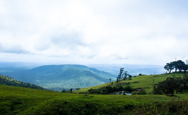 的总进球都 的总进球都