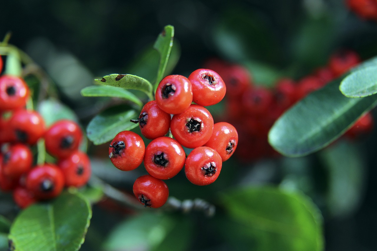 如何表现 如何表现