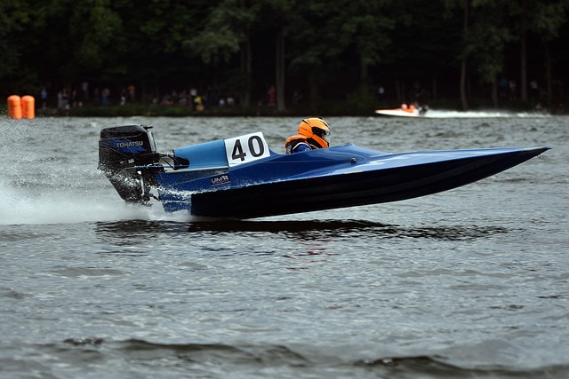 公众人物的 公众人物的