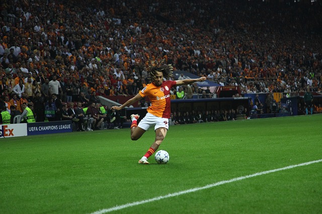 这位年轻的 这位年轻的